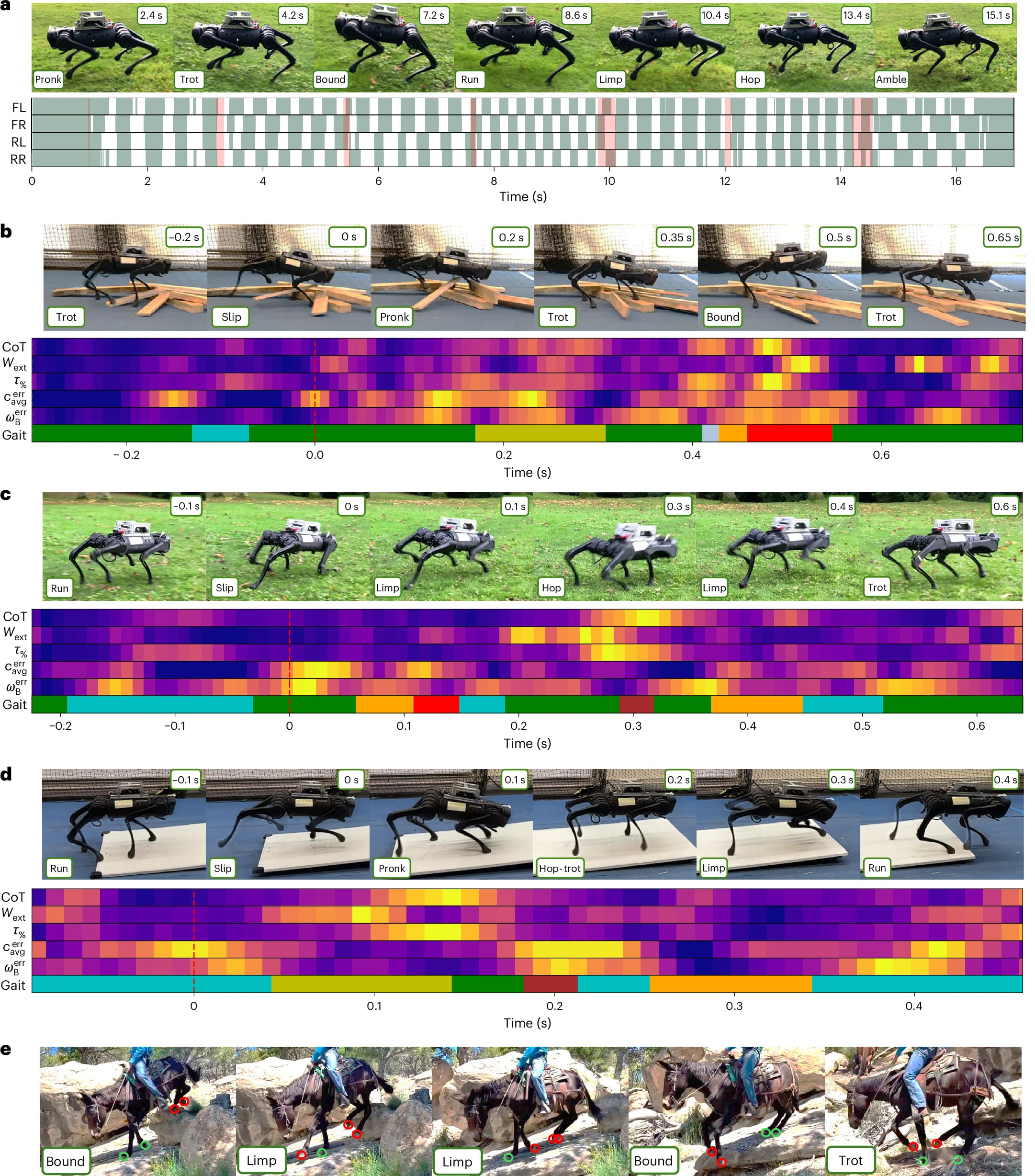 Cvičení na různém terénu a přizpůsobení se terénu